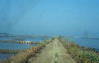 Γενική άποψη των Αλυκών Αγγελοχωρίου Θεσσαλονίκης