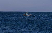 Ψαρόβαρκα στα ανοιχτά