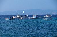 Ψαρόβαρκες στα ανοικτά