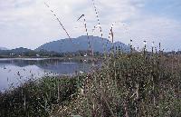 Ανοικτά νερά και καλμώνες στη λίμνη Κορησίων