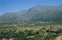 Γεωργικές εκτάσεις και δασικές εκτάσεις με διάσπαρτα δένδρα στην Κρήτη