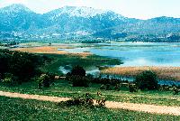 Καλαμώνας στη λίμνη Στυμφαλία