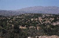 Μακρινό πλάνο κορυφών ορεινών όγκων στη Βόρεια Ελλάδα