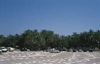Ο παλαιός χώρος στάθμευσης στο φοινικόδασος του Βάι