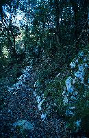 Παραδοσιακό μονοπάτι στα Στενά του Αχέροντα