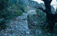 Παραδοσιακό μονοπάτι στα Στενά του Αχέροντα