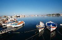 Ψαρόβαρκες στο λιμάνι των Μουδανιών