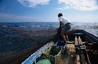 Ψαράς που τραβά τα δίχτυα του πάνω στη βάρκα σε νταλιάνι