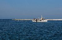 Αλιευτικό σκάφος που το συνοδεύουν γλάροι στο ταξίδι του