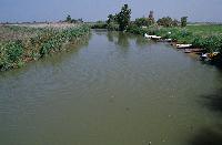 Εκβολές του ποταμού Πηνειού στον Ν. Ηλείας