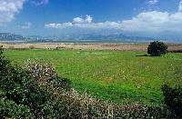 Γενική άποψη της λίμνης Βουλκαριάς στον Ν. Αιτωλοακαρνανίας