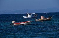 Ψαρόβαρκες στα ανοικτά