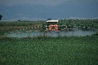 Ψέκασμα καλλιεργειών στον κάμπο του ποταμού Σπερχειού