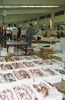 Σκηνή από τη δημοπρασία ψαριών στη Μηχανιώνα