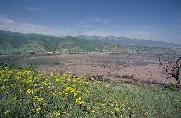 Μακρινό πλάνο της λίμνης Χειμαδίτιδας από τα βουνά, με ανθισμένες γαλατσίδες