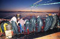 Μάζεμα διχτυών από τη θάλασσα κατά τη διάρκεια νυχτερινού ψαρέματος