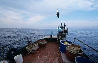 Παραγάδια και άλλα αλιευτικά αντικείμενα στο κατάστρωμα της ψαρόβαρκας