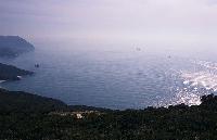 Δασωμένο παράκτιο τοπίο στην πόλη Σεσίμπρα της Πορτογαλίας