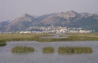 Γενική άποψη του δέλτα του Καλαμά