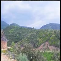 Rehabilitation of Coppice Quercus frainetto (9280) woods and Quercus ilex (9340) woods to high forest. A 19:30 minutes video