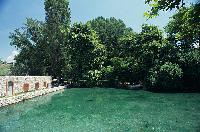 Γαλαζοπράσινα νερά και πυκνή βλάστηση στις πηγές Αγίας Βαρβάρας Δράμας