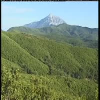 Ανόρθωση των πρεμνοφυών δασών με Quercus frainetto (9280) και Quercus ilex (9340) σε υψηλά δάση. Ταινία διάρκειας 19'