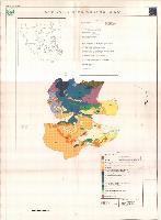 Χάρτης Βλάστησης 