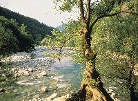 Ορμητικά νερά στον ποταμό Ασπροπόταμο