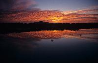 Ηλιοβασίλεμα στη λιμνοθάλασσα Μεσολογγίου