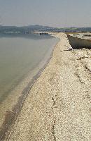 Σωροί με δίθυρα μαλάκια στην ακτή της λίμνης Δοϊράνης