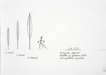 Μότσαρτ, Οι γάμοι του Φίγκαρο, 2005 - 2006