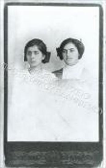 Συλλογή Κρίνου - Ροδίου Ειρήνη.