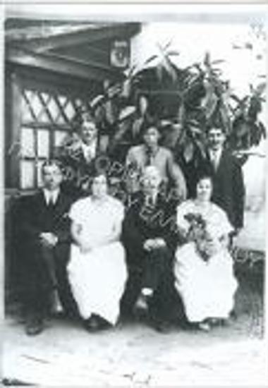 Συλλογή Κρίνου - Ροδίου Ειρήνη.