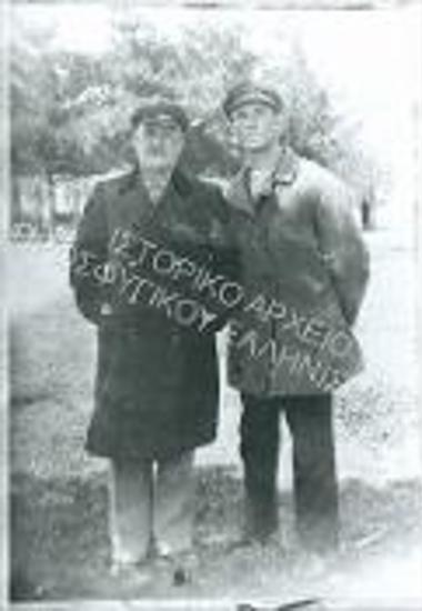 Συλλογή Κρίνου - Ροδίου Ειρήνη.