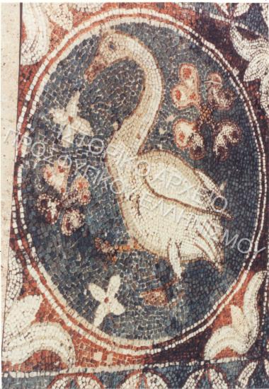 Συλλογή Ομίλου Γυναικών Επιτροπής Κερύνειας.