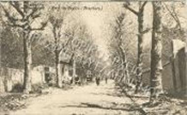 Το δάσος του Μπεϊκόζ.