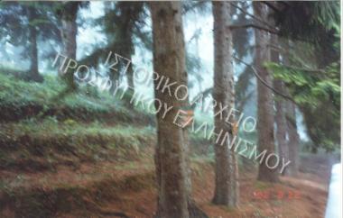 Συλλογή Μπακάλογλου Πέτρου.