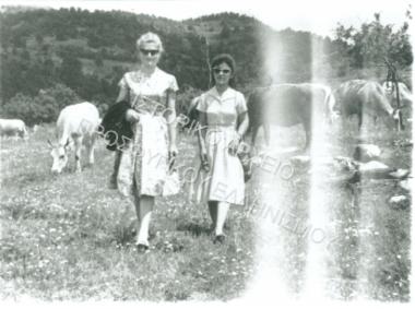 Συλλογή Καραμπίδου Δέσποινας.