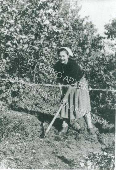 Συλλογή Καραμπίδου Δέσποινας.