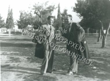 Συλλογή Ζεγλίνα - Μεταλλείδου Αναστασίας (Νο3)