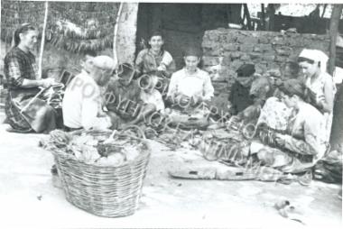 Συλλογή Πασαλίδου Ιωάννα (Νο4)