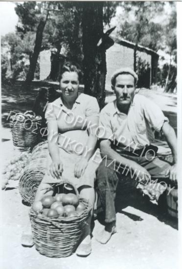 Συλλογή Πασαλίδου Ιωάννα (Νο 7)