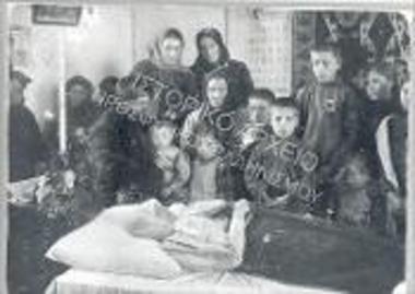 Συλλογή Φλέβα Αλέκα.