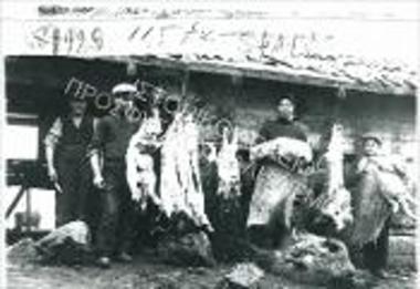 Συλλογή Σταυρίδη Ράλλη.