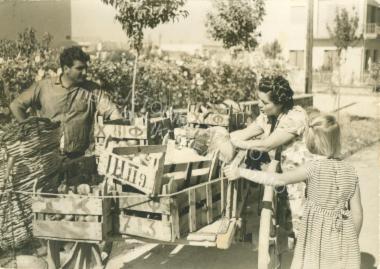 Συλλογή Πασαλίδου Ιωάννα (ΦΙΑΠΕ 2005)