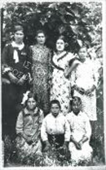 Συλλογή Μαυροπούλου - Βουλγαρίδου Ειρήνη.