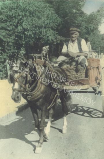 Συλλογή Πασαλίδου Ιωάννα (ΦΙΑΠΕ 2005)