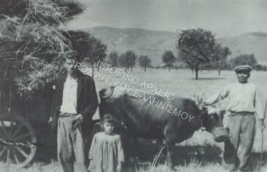 Συλλογή Πασαλίδου Ιωάννα (ΦΙΑΠΕ 2007)