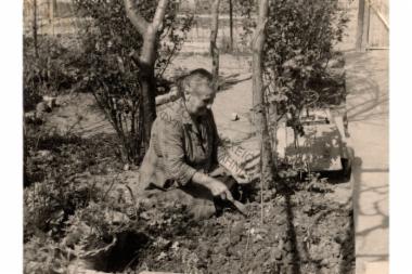 Συλλογή Λιάρου Αλέξανδρου.