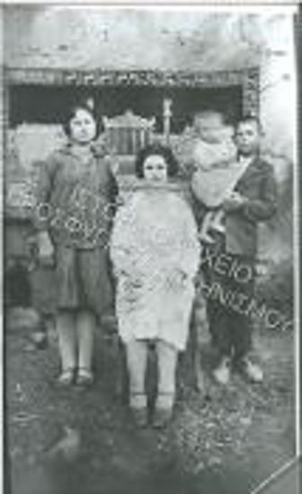 Συλλογή Πλήκα Βασίλη.